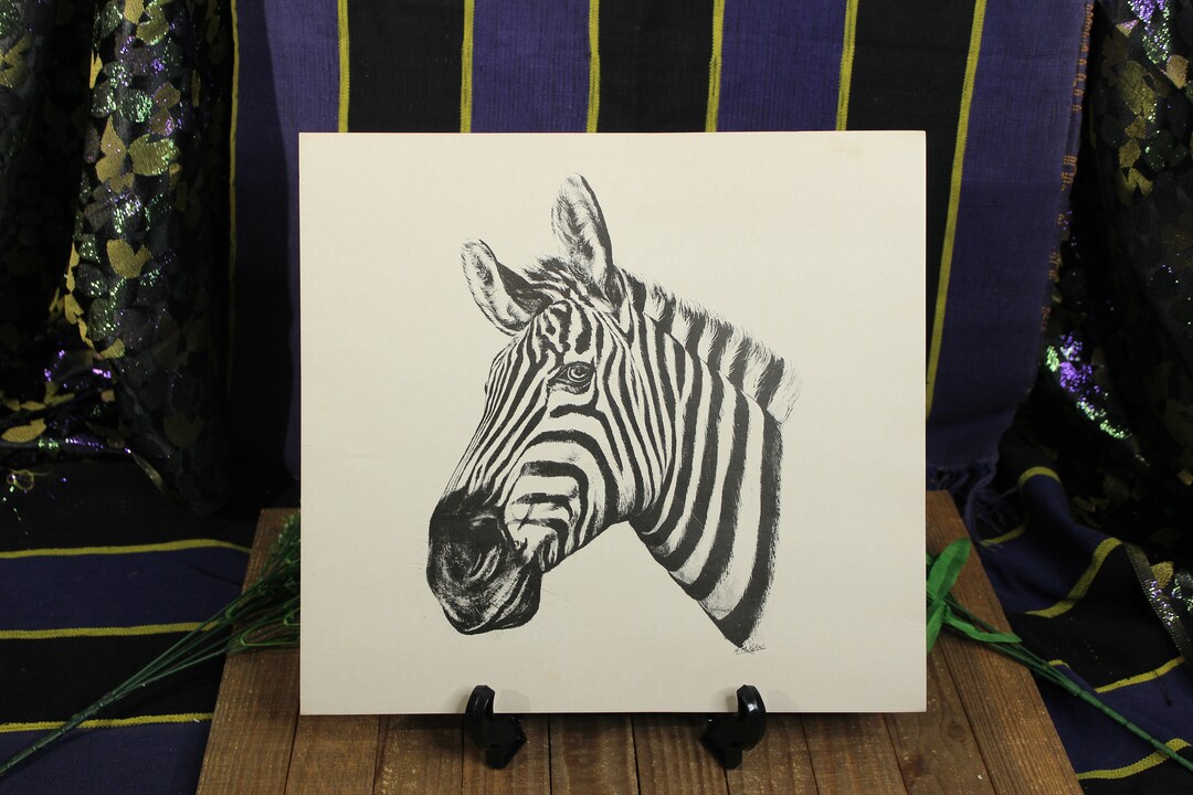 African Zebra Print Picture on Cardstock White Black 14in X Etsy