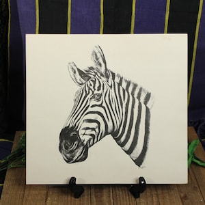 African Zebra Print: Black & White Cardstock Picture (14in x 13in)