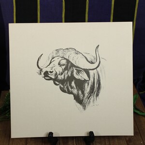 African Water Buffalo Print Picture On Cardstock White Black 14in x 13in African Memorabilia Home Decor Living