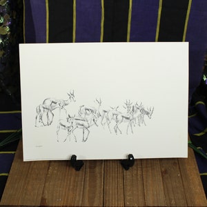African Gazel Herd Print Picture On Cardstock White Black 17in x 13in African Memorabilia Home Decor Living
