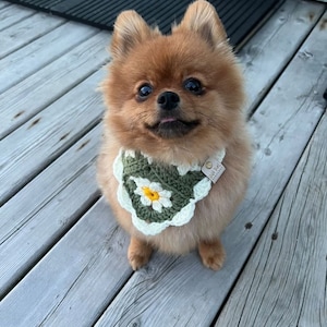 The Daisy Bandana Matching Set Crochet PDF Pattern image 6