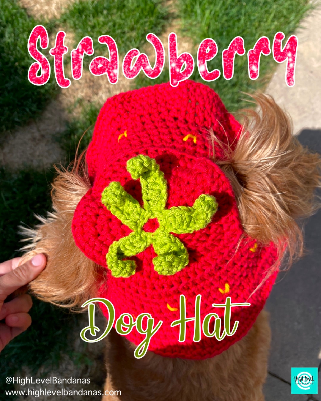 Strawberry Dog Hat Crochet PDF Pattern Etsy
