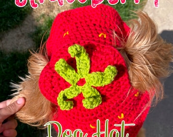 Strawberry Dog Hat - Crochet PDF Pattern