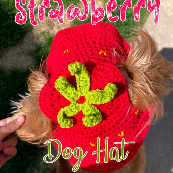 Strawberry Dog Hat - Crochet PDF Pattern