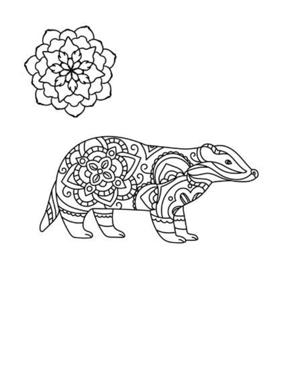 Honey Badger Coloring Page Instant Download Animals Etsy UK