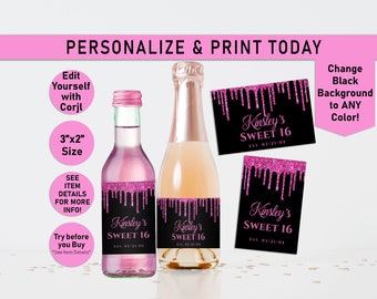 ANY AGE Hot Pink Drip Glitter and Any Other Color Mini Apple Cider Bottle Labels, Mini Wine Bottle Label, Champagne, Dripping, Birthday, T23