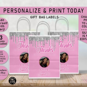 Silver Drip Glitter and ANY COLOR Birthday Gift Bag Label,Gift Bag Labels,Favor Bag label, Goodie bags, dripping Birthday,Teen,Sweet 16, T19