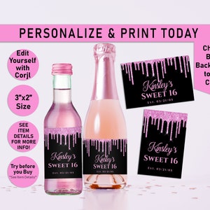 ANY AGE Pink Drip Glitter and Any Other Color Mini Apple Cider Bottle Labels, Mini Wine Bottle Label, Champagne, Dripping, Birthday, T24