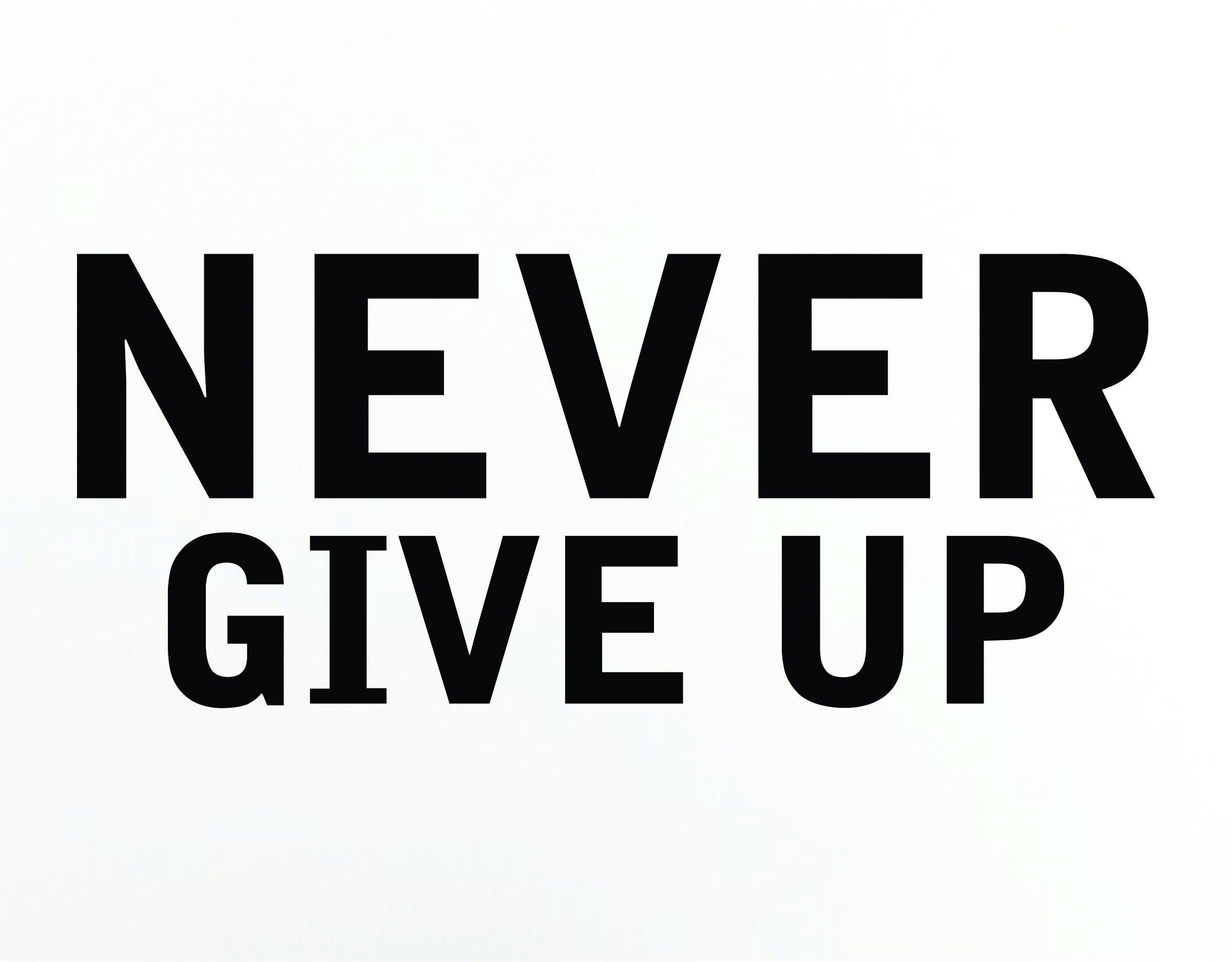 Never Give Up Wall Vinyl Decal Sticker Stickers Home Etsy