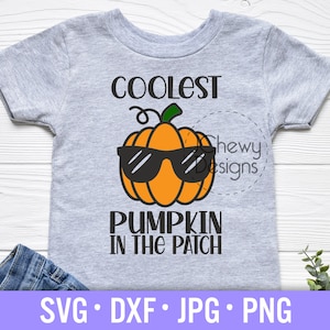 May include: A gray t-shirt with the text "Coolest Pumpkin in the Patch" and a cartoon pumpkin wearing sunglasses.