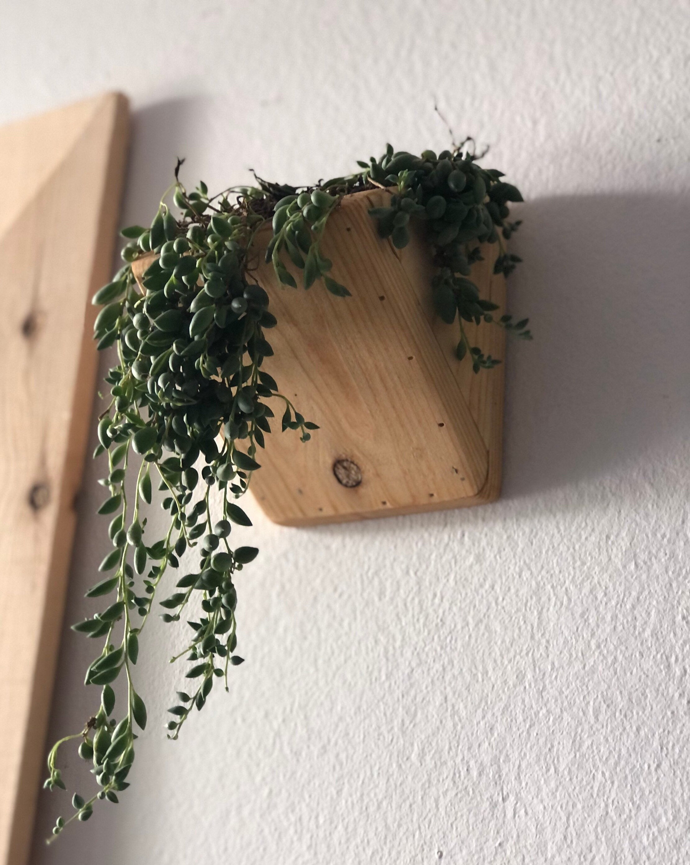 Set of Two Hand Made Wall Hanging Planters | Etsy
