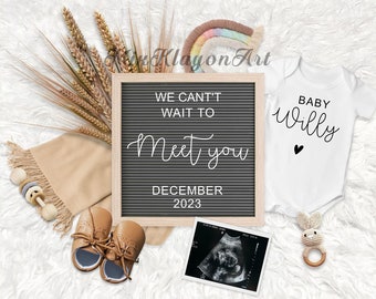 May include: A pregnancy announcement with a letter board that reads "We can't wait to meet you December 2023", a white onesie with the text "Baby Willy", a pair of brown baby shoes, a sonogram photo, a crocheted bunny rattle, and a wooden rattle.
