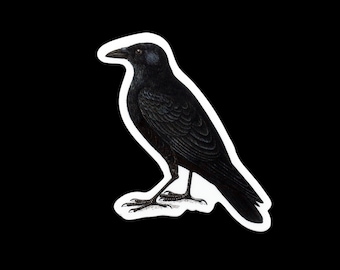 Vintage Crow Matte Vinyl Sticker: Weatherproof Laptop Decal