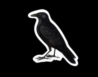 Crow Matte Vinyl Sticker, Crow Sticker, Water Bottle Stickers, Laptop Sticker, Hydroflask Sticker