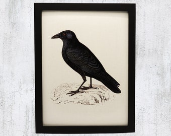 Crow Framed Vintage Canvas Art Print, Crow Canvas Print, Crow Wall Decor, Wall Decor, Wall Art, Housewarming, Wednesday Addams Art