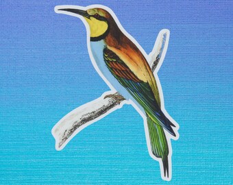 Bee Eater Bird Sticker: Vintage Style Matte Vinyl Decal