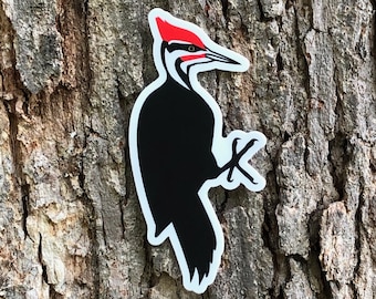 Woodpecker Matte Vinyl Sticker, Woodpecker Sticker, Cute Stickers, Waterbottle Sticker, Laptop Sticker, Hydroflask Sticker, Woodpecker