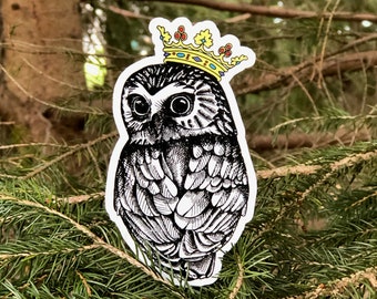 Owl Queen Matte Vinyl Sticker, Funny Stickers, Waterbottle Stickers,  Laptop Sticker, Hydroflask Sticker