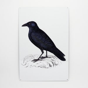 Crow Vintage Art Metal Decorative Sign, Metal Wall Decor, Metal Poster, Housewarming, Game Room, Room Decor, Wednesday Addams Art image 3