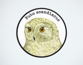 Owl Vinyl Sticker | Round Sticker | Water Bottle Sticker | Owl Lover Gift | Owl Decal | Bird Decal