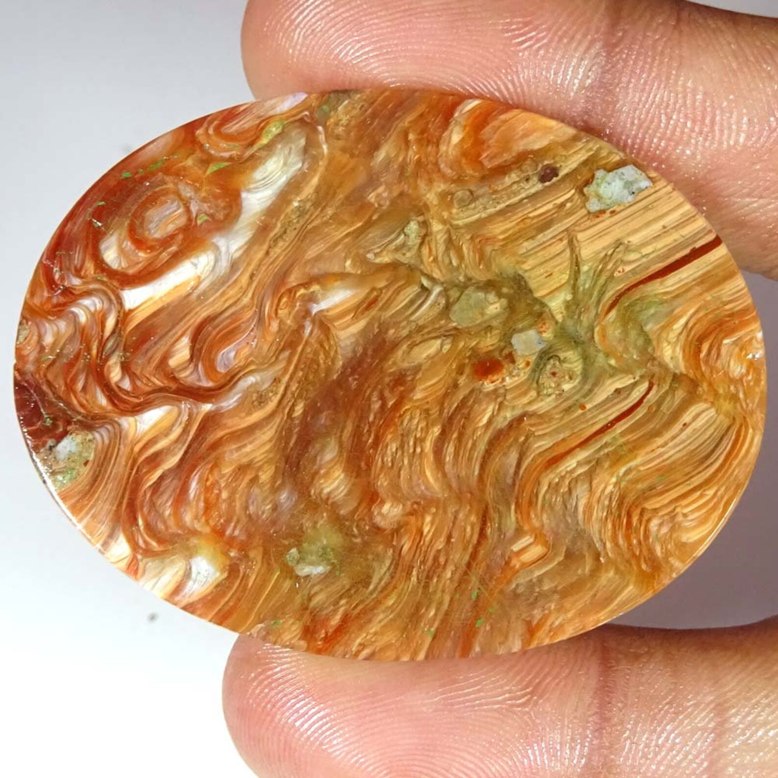 100 Natural Designer WOOD OPAL Cabochon Loose Gemstone Wood Etsy