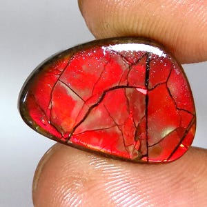 Natural Ammolite Gemstone | Mix Shape Cabochon Ammolite Stone | Loose Ammolite Gemstone | Jewelry Making | Gemstone For Pendant | JKB-763