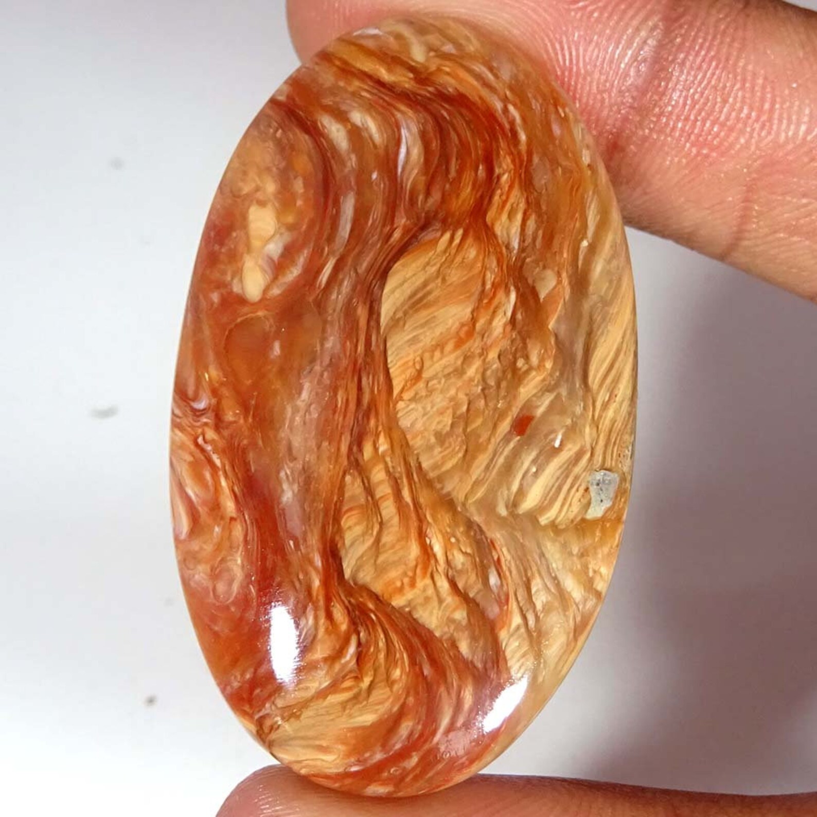 100 Natural Designer WOOD OPAL Cabochon Loose Gemstone Wood Etsy