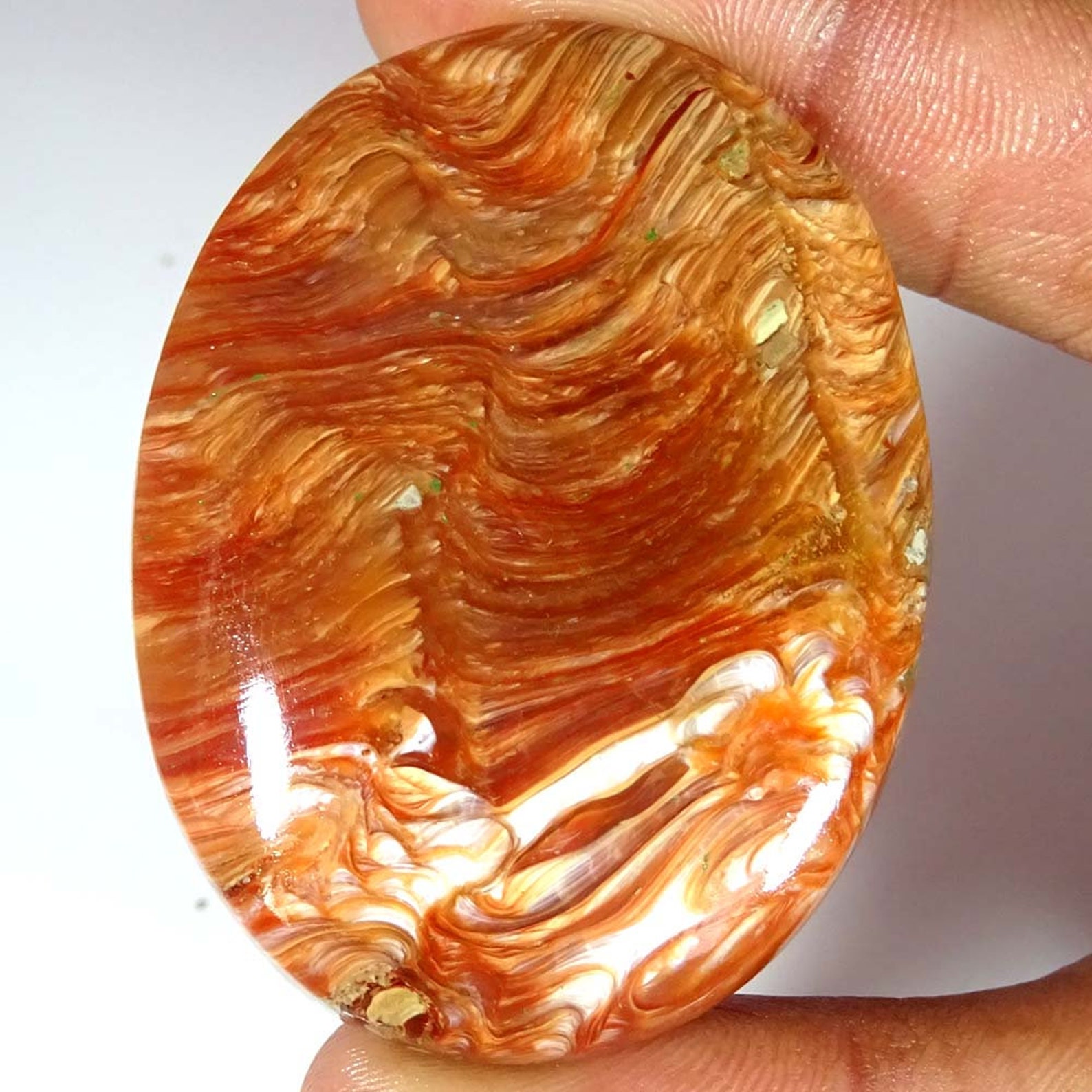 100 Natural Designer WOOD OPAL Cabochon Loose Gemstone Wood Etsy