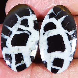 Natural Septarian Nodule Cabochon Pair: Untreated Gemstone for Jewelry
