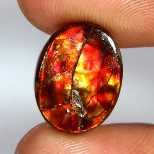 Natural Ammolite Gemstone | Mix Shape Cabochon Ammolite | Ammolite Stone | Loose Ammolite Gemstone | Gemstone For Jewelry Making |  JKB-849