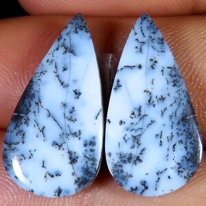 Natürliche Dendriten-Opal-Cabochons (Paar), rechteckiger Dendriten-Achat für Ohrringe, passendes Paar lose Edelsteine, Steine ​​mit weißem und schwarzem Baummuster