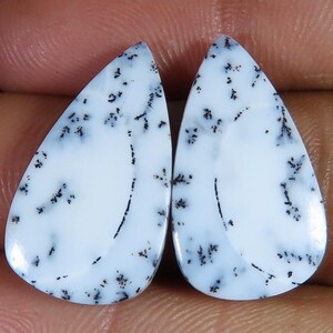 Paar natürliche Dendriten-Opal-Cabochons, rechteckige Dendriten-Achatsteine ​​für Ohrringe, passendes Paar lose Edelsteine, weißes und schwarzes Baummuster