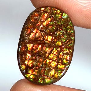 Natural Ammolite Gemstone | Mix Shape Cabochon Ammolite | Ammolite Stone | Loose Ammolite Gemstone | Gemstone For Jewelry Making | JKB-764