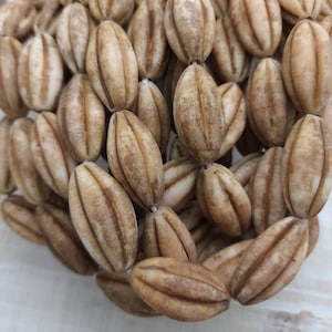 May include: A strand of natural brown and white oval-shaped beads made from polished seed pods. The beads are strung together and have a natural, rustic look.
