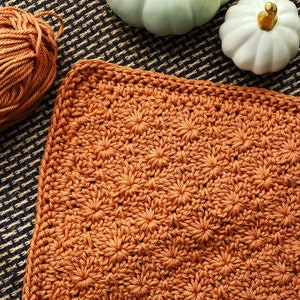 May include: A close-up of a crocheted square blanket in a burnt orange color. The blanket is made with a repeating pattern of small flowers.
