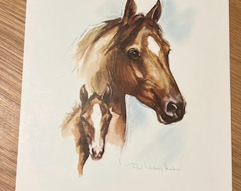 Vintage Paul Whitney Hunter Brown Horse Colt Western Print 8x10” 1979