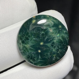 Op de afbeelding: Een ronde, gepolijste edelsteen met een diepgroene kleur en een uniek bloemmotief. Het oppervlak van de steen is glad en glanzend, met een netwerk van lichtere groene aderen dat een opvallend visueel effect creëert. De edelsteen wordt vastgehouden door een gehandschoende hand.