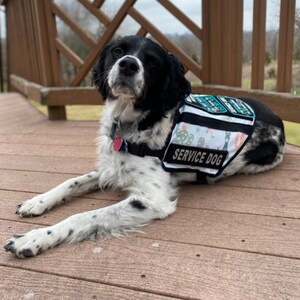 Dysautonomia Service Dog VestCape