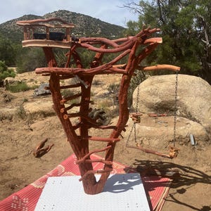 Può includere: Un albero per gatti rustico fatto a mano in legno naturale. L'albero presenta più livelli, tra cui una piccola piattaforma, una scala e trespoli sospesi. La struttura è supportata da una base bianca e poggia su un tappeto rosso e arancione.