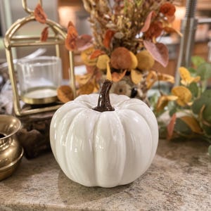 May include: A white ceramic pumpkin figurine with a glossy finish and a dark brown stem. The pumpkin has deep vertical ridges and a rounded shape, sitting as a standalone decorative object with a smooth, reflective surface texture.