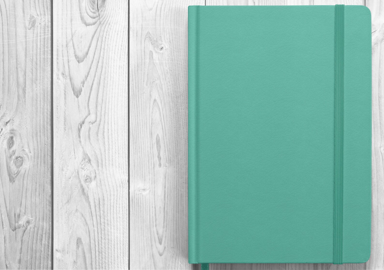 Blank Goodnotes Digital Bullet Journal Mint Digital Bullet Etsy