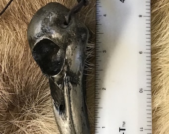 Raven Necklace Original Real Raven Cast