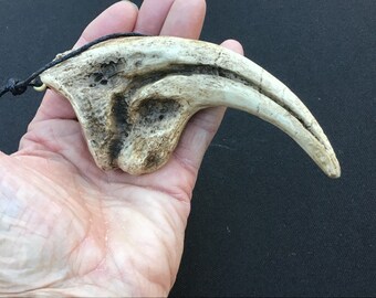 Dinosaur replica claw ornament