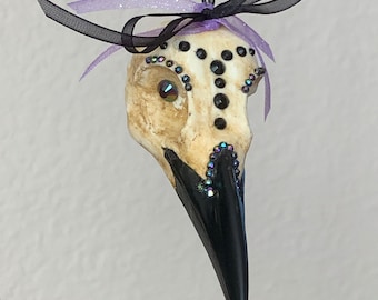 Crow skull cast
