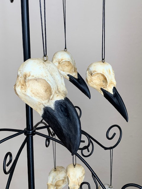 African Raven, Common Raven, Common Crow Skull - Etsy