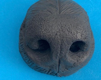 Dog nose refrigerator magnet
