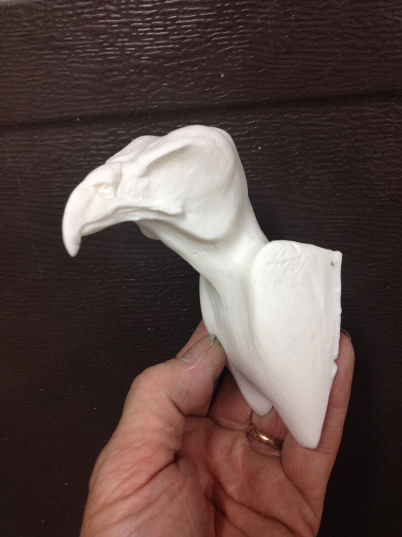 Taxidermy Tools and Forms Etsy