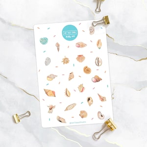 Hoja de pegatinas de conchas marinas, pegatinas de conchas, conchas marinas, pegatinas de verano, pegatinas de océano, pegatinas de playa, pegatinas de planificador, pegatinas de bullet journal