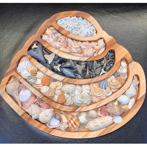 Pawleys Island Shell-Shaped Wooden Tray & Charcuterie Board (15")