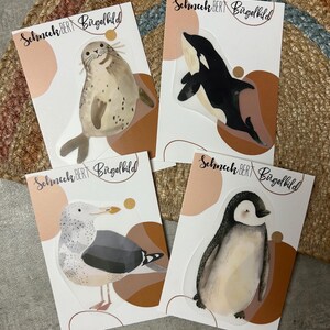 Könnte beinhalten: Vier illustrierte Tieraufkleber auf weißen Karten mit braunem und pfirsichfarbenem Hintergrund. Die Tiere sind ein Seehund, eine Orca, eine Möwe und ein Pinguin. Die Karten tragen den Text "Schneck Bert Birgelbild".